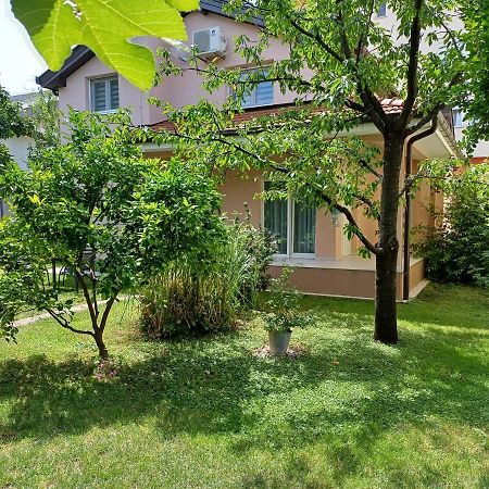 Villa Tamara With Garden And River View - Free Private Parking - Garage Mostar Exterior foto